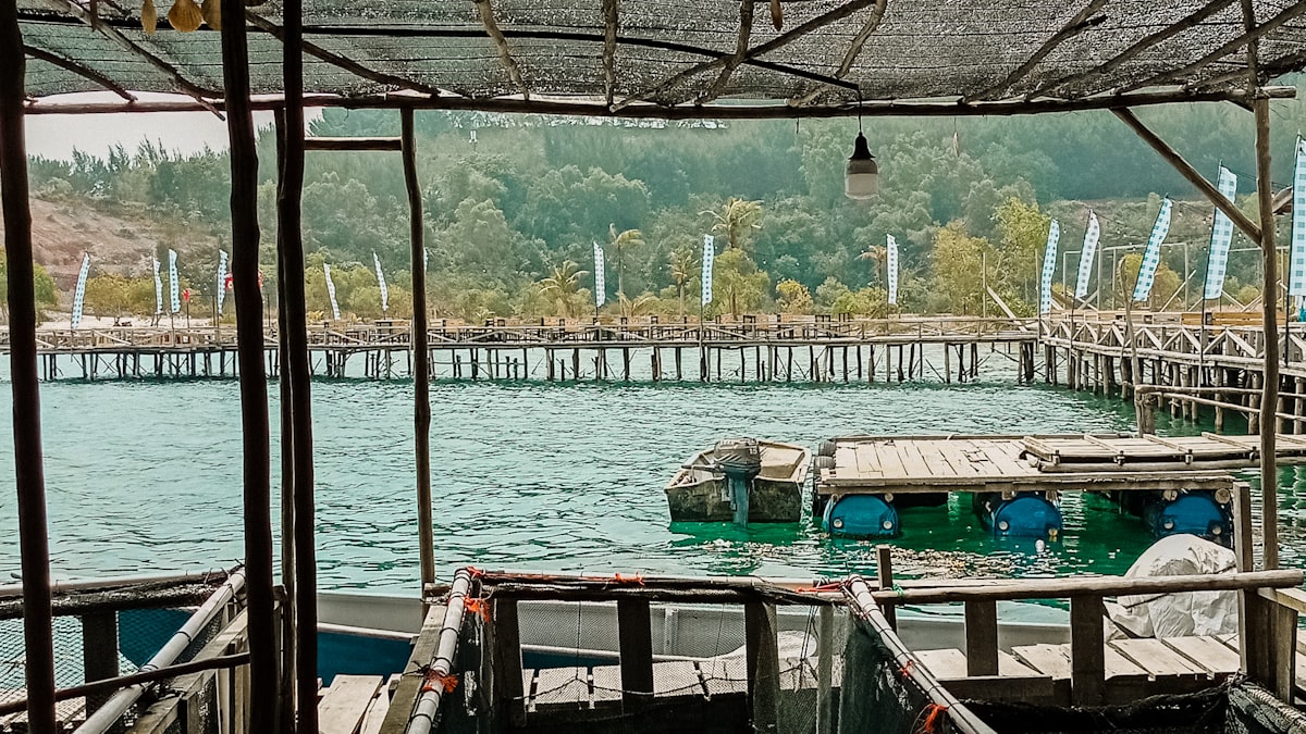 eFishery membangun citranya di sekitar teknologi pemberi pakan ikan otomatis bagi pembudidaya.